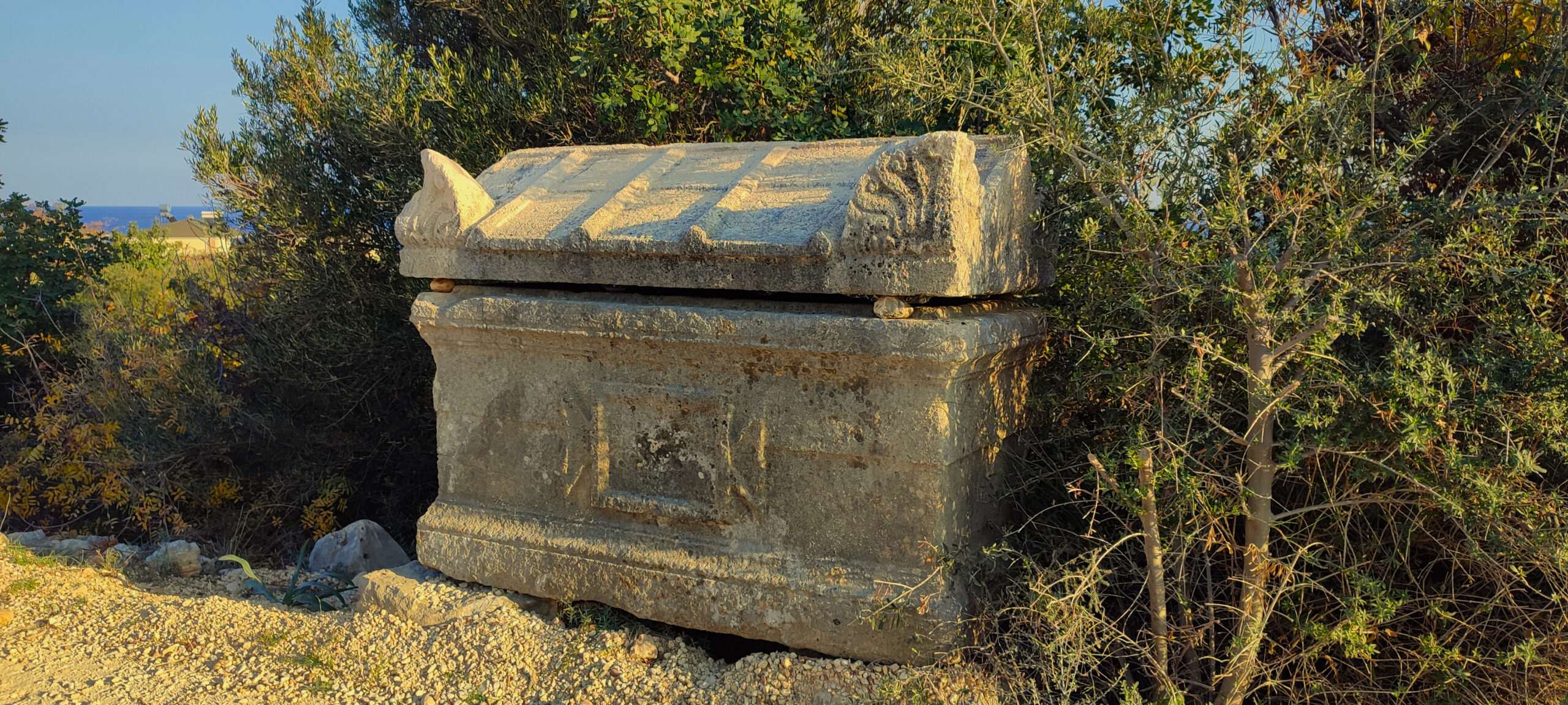 The Street That No Longer Lives: Lemons of Eternity and the Honey of the Dead.