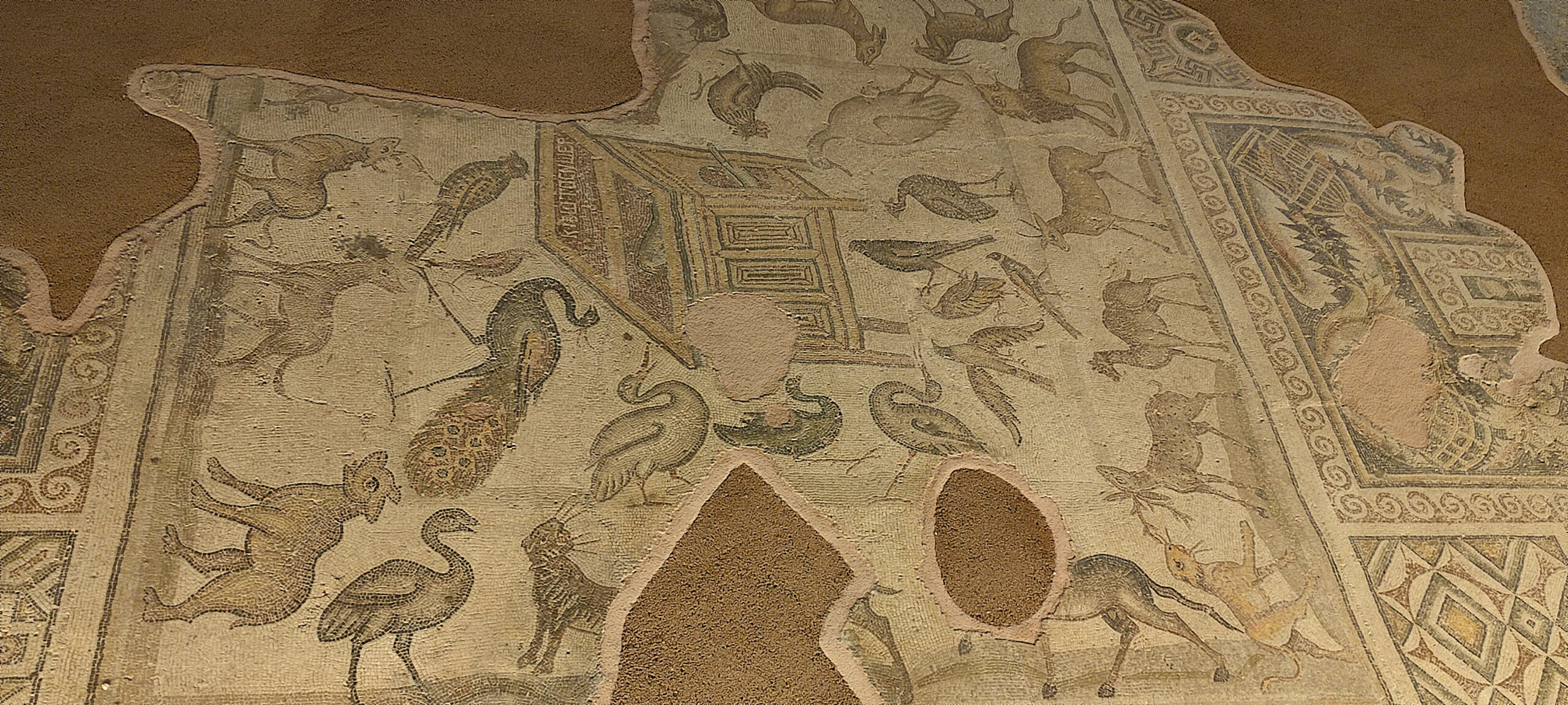 Noah in Stone Pixels: The Mopsuestian Survival Code