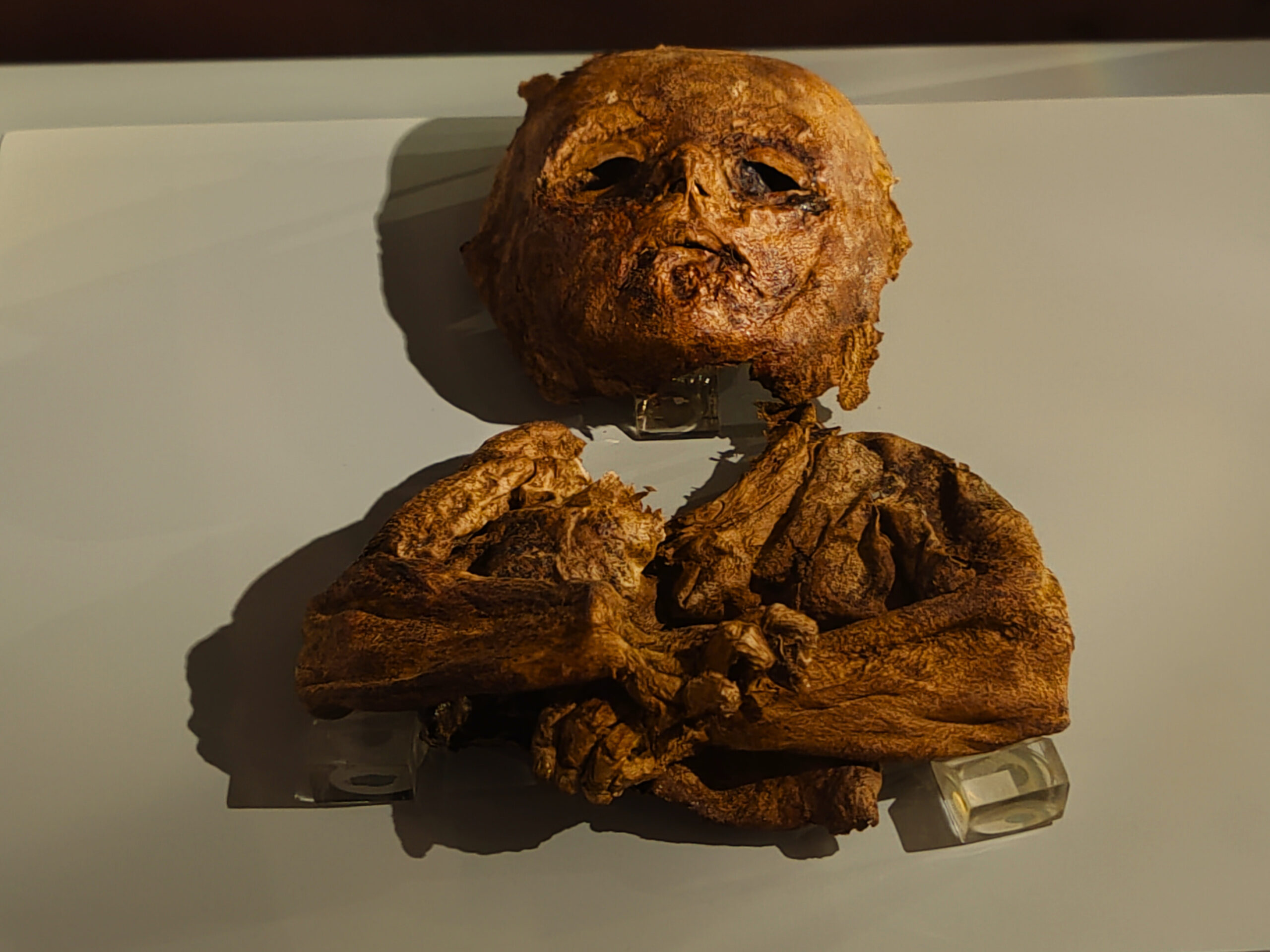 Yoda Mummy: The Voice from the Display