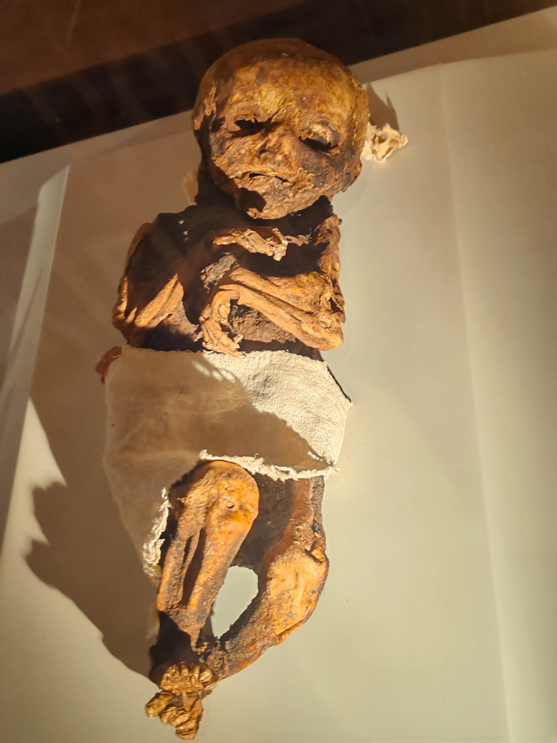 The Yoda Mummy: Chronicles of the Cave Jedi (part 1)