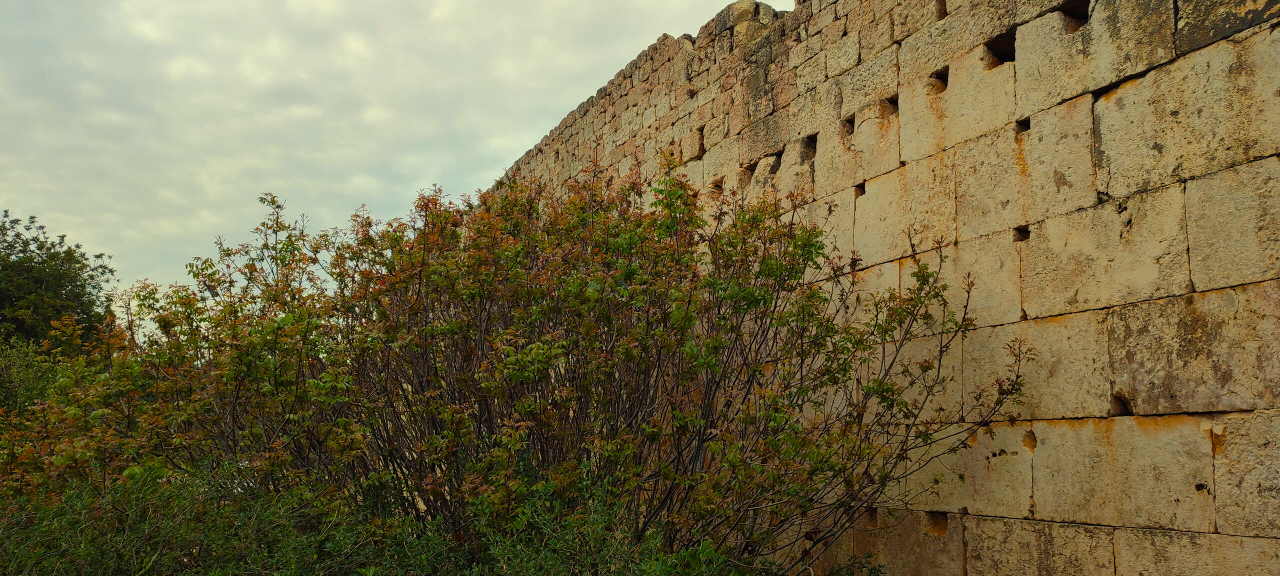 Zeus Above the Void: A Temple at the Gates of the Underworld
